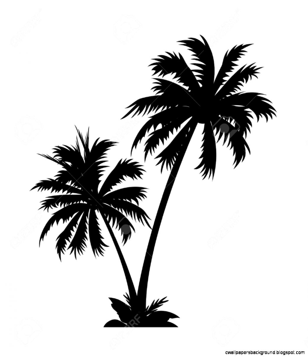 1043x1209 Palm Trees Clipart Tumblr, Free Download Clipart - Palm Tree Drawing Tumblr
