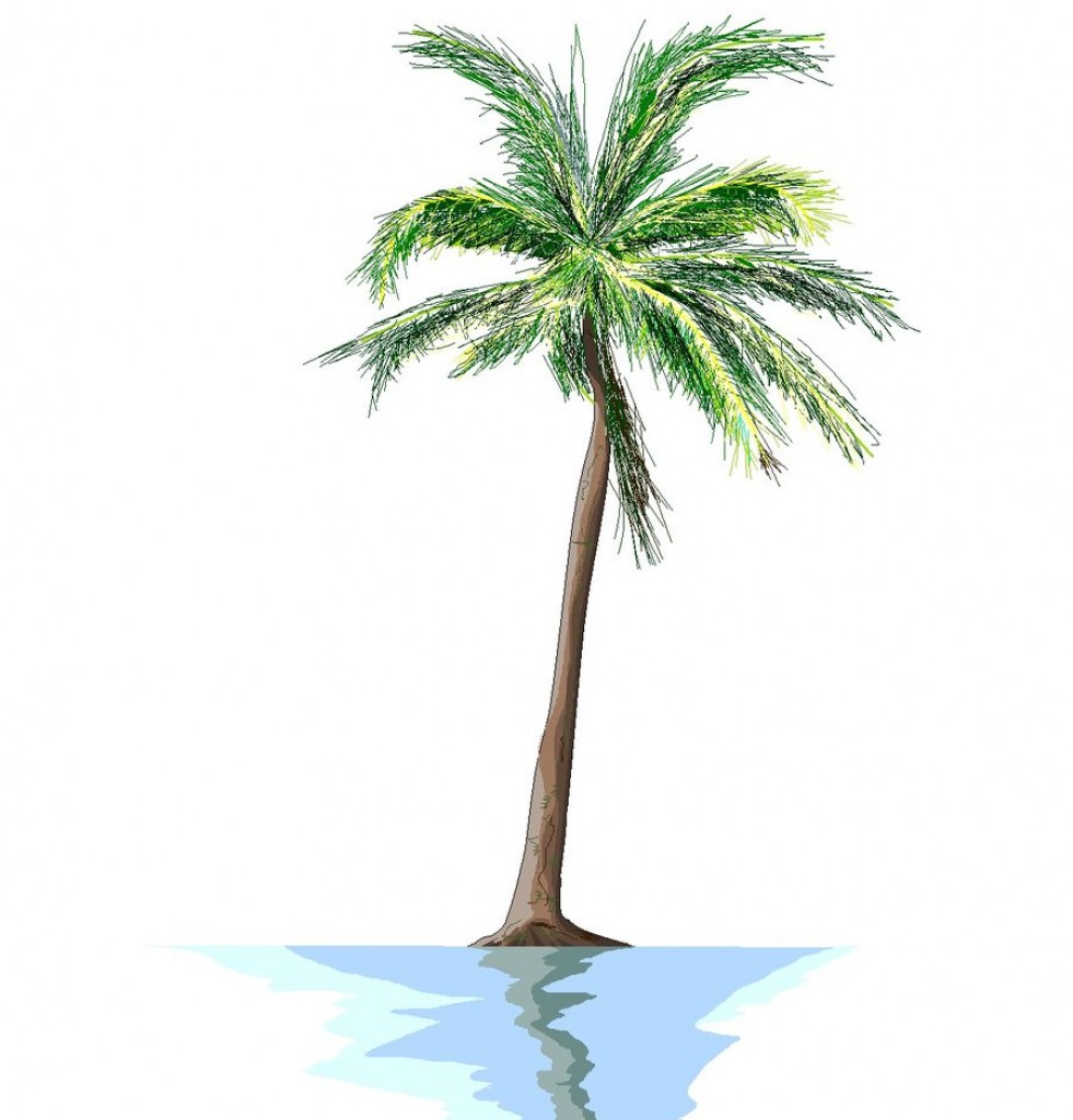 981x1024 Tumblr Simple Drawing Palm Tree - Palm Tree Drawing Tumblr