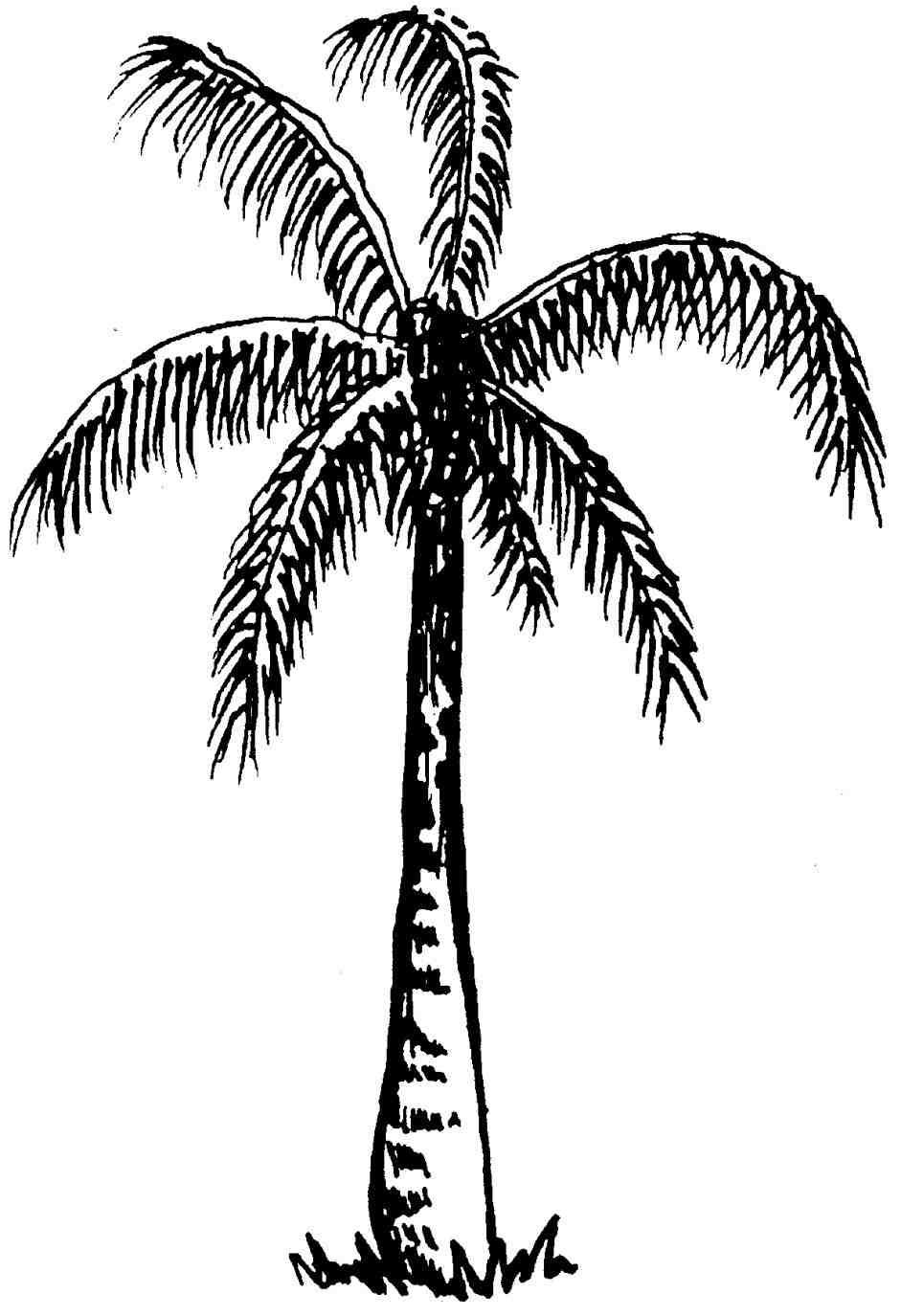 941x1375 Eatsleepdraw Village My Illustrati Eatsleepdraw Black - Palm Tree Drawing Tumblr