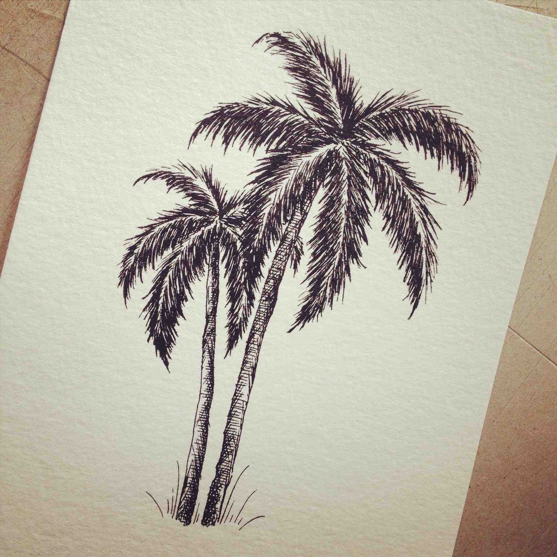 1899x1899 Palm Tree Drawing Tumblr - Palm Tree Drawing Tumblr
