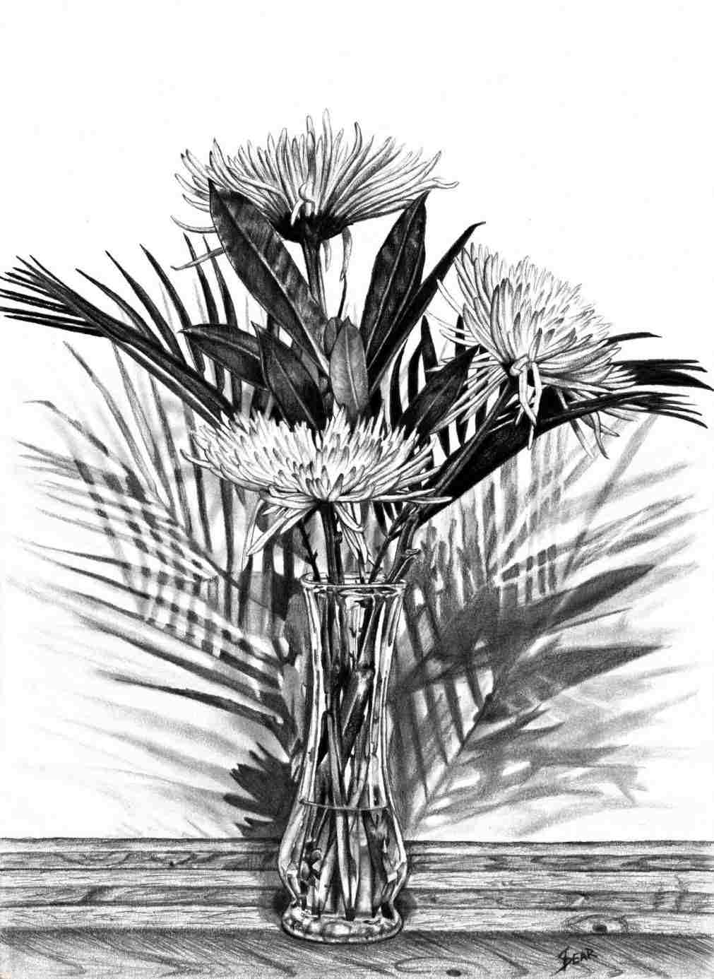 1011x1386 Palm Trees Drawing Tumblr - Palm Tree Drawing Tumblr