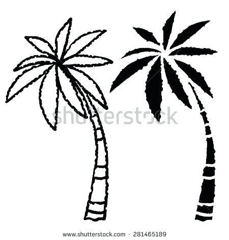 450x470 Palm Trees Drawings - Palm Tree Drawing Tumblr