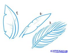 Palm Tree Leaf Drawing