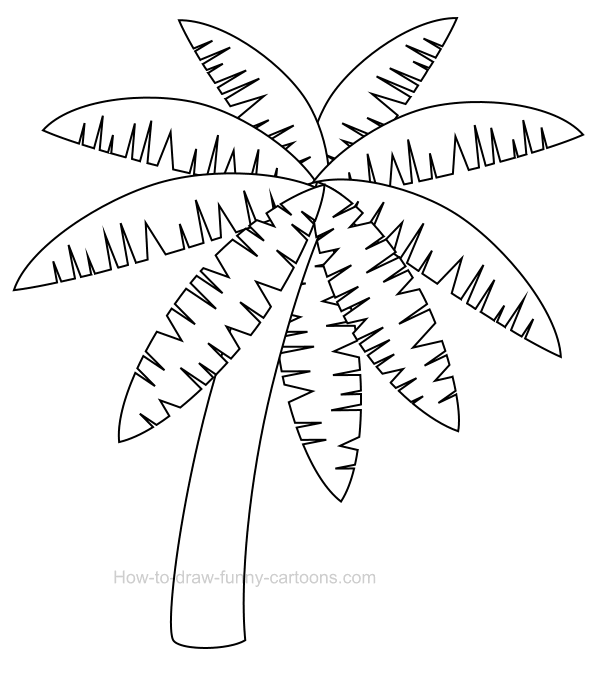 600x675 How To Draw A Palm Tree Clip Art - Palm Tree Leaf Drawing