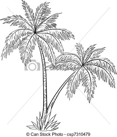 401x470 huge collection of 'palm tree leaf drawing' download more than - Palm Tree Leaf Drawing