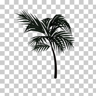 310x310 Page Palm Trees Drawings Png Cliparts For Free Download - Palm Tree Leaf Drawing