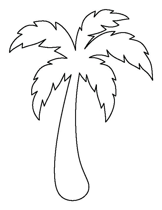 550x712 palm leaf drawing at free for personal use coloring - Palm Tree Leaf Drawing
