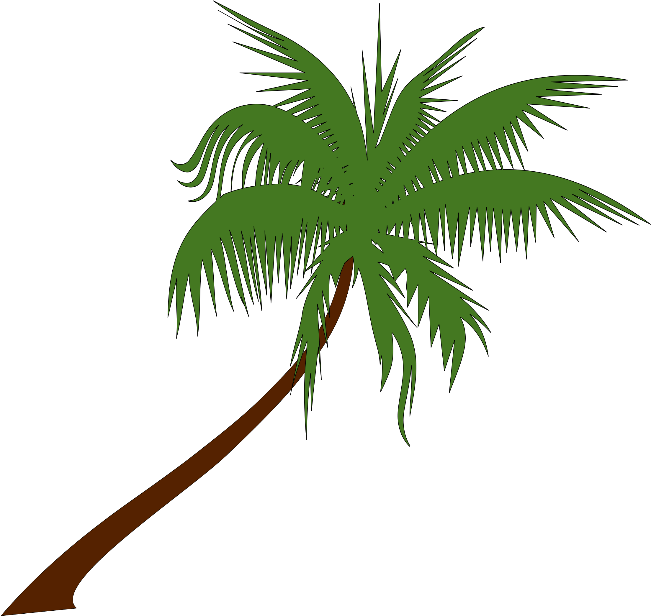 2206x2089 palm leaf drawing transparent png clipart free download - Palm Tree Leaf Drawing