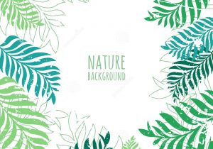 300x210 palm tree leaves drawing palm leaf drawing at getdrawings free - Palm Tree Leaf Drawing