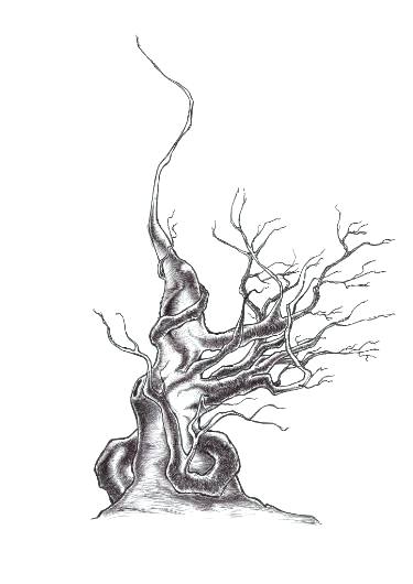 375x530 tree without leaves drawing tree without leaves drawing at free - Palm Tree Leaf Drawing