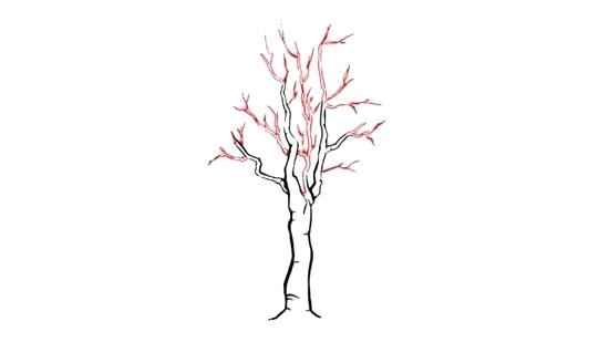 550x309 how to draw leaves on a tree draw a tree easily how to how do you - Palm Tree Leaf Drawing