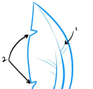 302x290 How To Draw How To Draw Palm Trees - Palm Tree Leaves Drawing