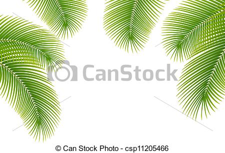 450x307 Leaves Of Palm Tree On White Background Vector Illustration - Palm Tree Leaves Drawing