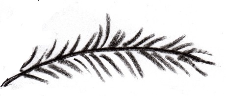 461x196 Palm Tree Drawing - Palm Tree Leaves Drawing