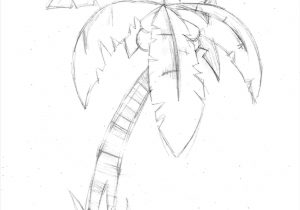 300x210 rhgetdrawingscom palm palm tree leaves drawing tree leaves drawing - Palm Tree Leaves Drawing