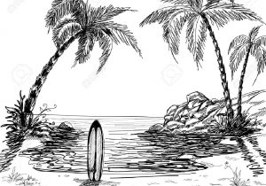 300x210 drawing of palm trees line drawing of a palm tree at getdrawings - Palm Tree Line Drawing