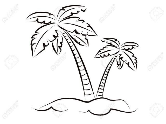 640x480 Drawn Palm Tree Line - Palm Tree Line Drawing
