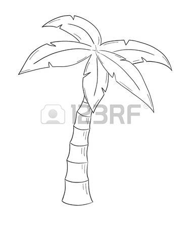 376x450 line drawing of a palm tree at getdrawings free for personal palm - Palm Tree Line Drawing