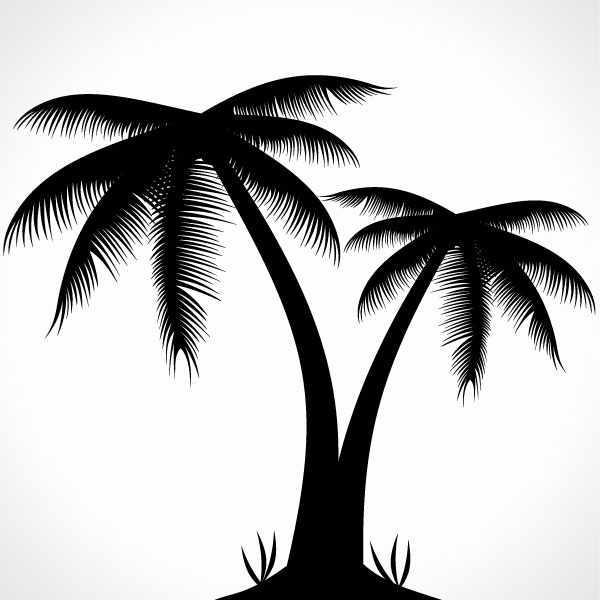600x600 Tree Line Drawing Vectors Download Free Vector Art Graphics - Palm Tree Line Drawing