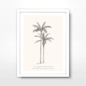 300x300 Palm Tree Line Drawing Tropical Art Print Poster + More - Palm Tree Line Drawing