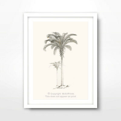 400x400 palm tree line drawing tropical art print poster vintage antique - Palm Tree Line Drawing