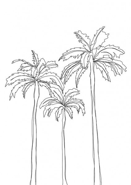 Palm Tree Line Drawing at PaintingValley.com | Explore collection of