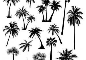 300x210 artrhdrawingforkidscom pom palm trees drawing tree drawing palm - Palm Tree Line Drawing