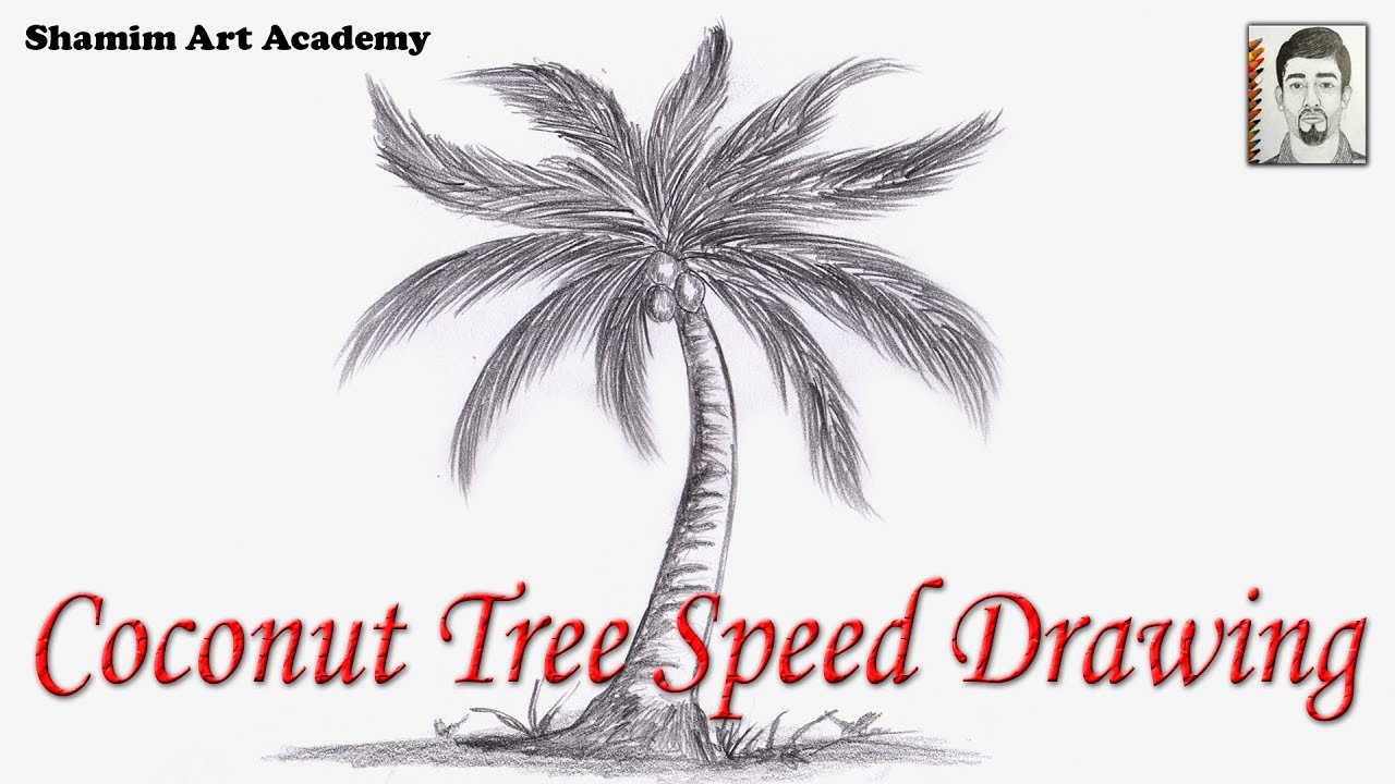 1280x720 How To Draw Coconut Tree Pencil Drawing Very Easy Speed Drawing - Palm Tree Pencil Drawing