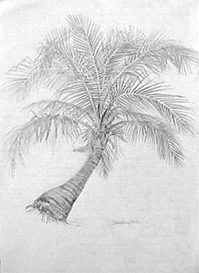 287x394 palm tree joan berg victor drawing item - Palm Tree Pencil Drawing