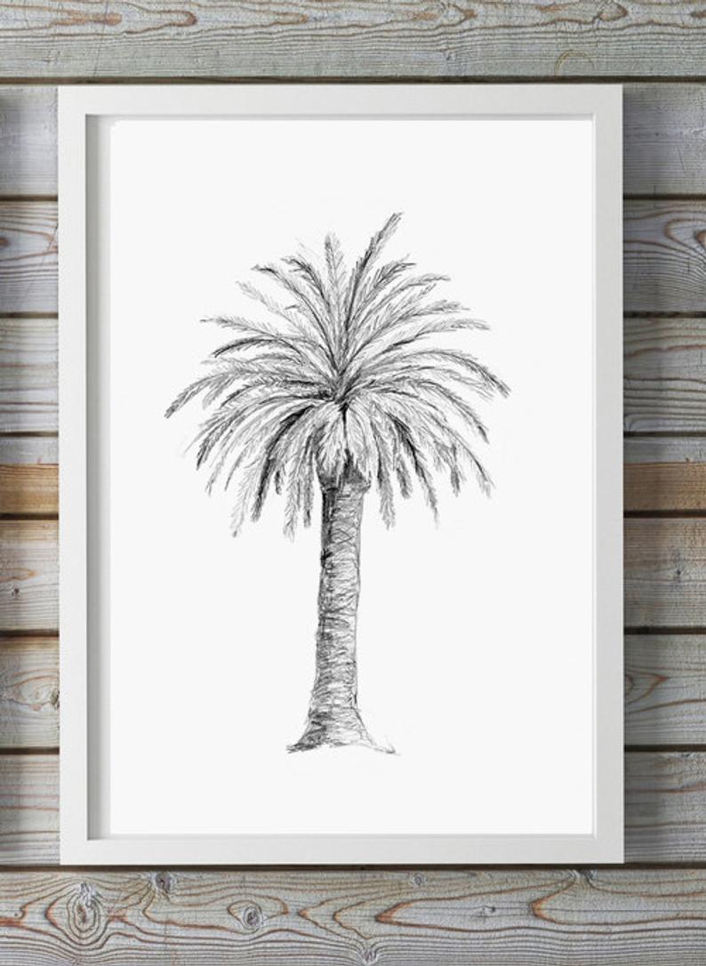 794x1086 palm tree art pencil drawing giclee print palm decor etsy - Palm Tree Pencil Drawing