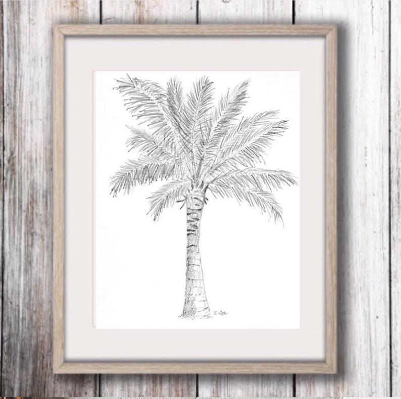 794x790 palm tree art nature pencil sketch coastal drawing palm etsy - Palm Tree Pencil Drawing