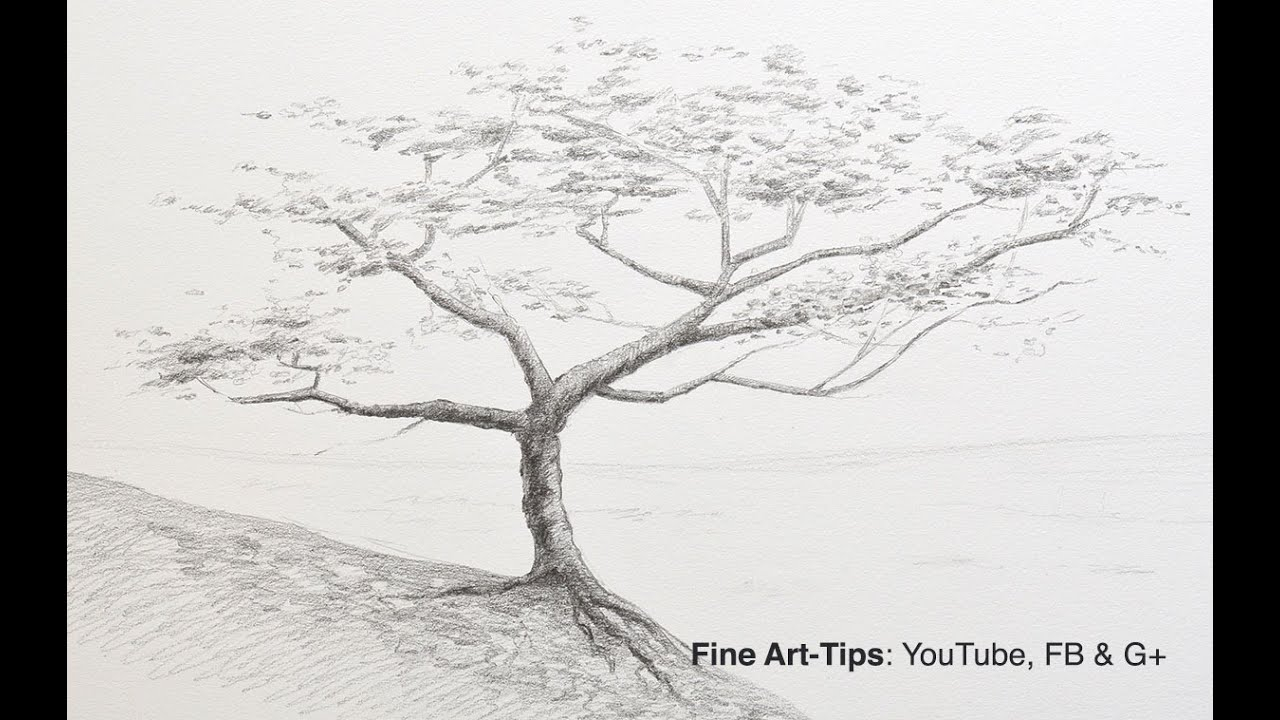 1280x720 Pencil Drawings Palm Trees - Palm Tree Pencil Drawing