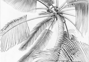 300x210 Beautiful Elephant Pencil Drawing Elephant Pencil Drawing - Palm Tree Pencil Drawing