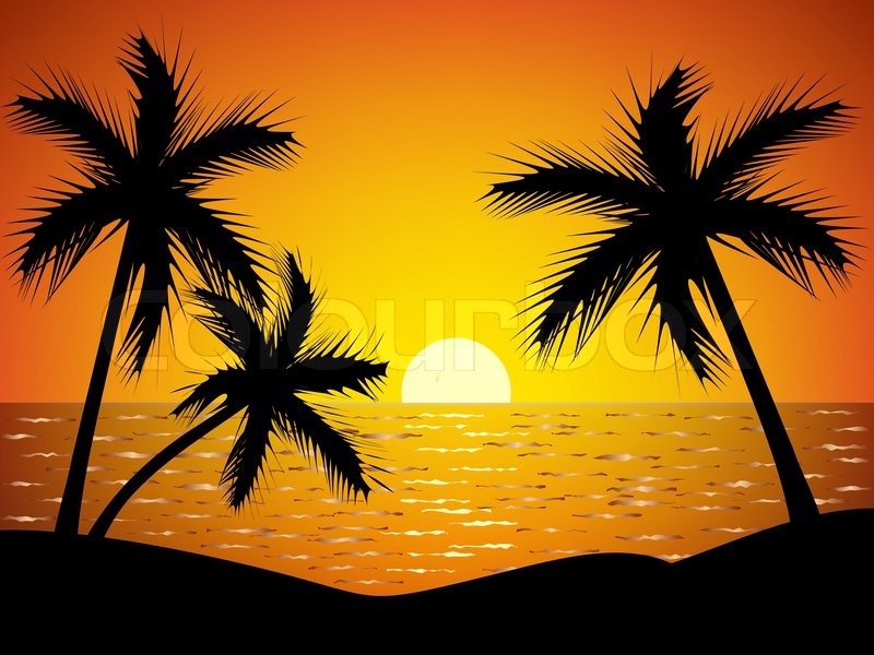 800x600 Palm Trees Silhouette - Palm Tree Sunset Drawing