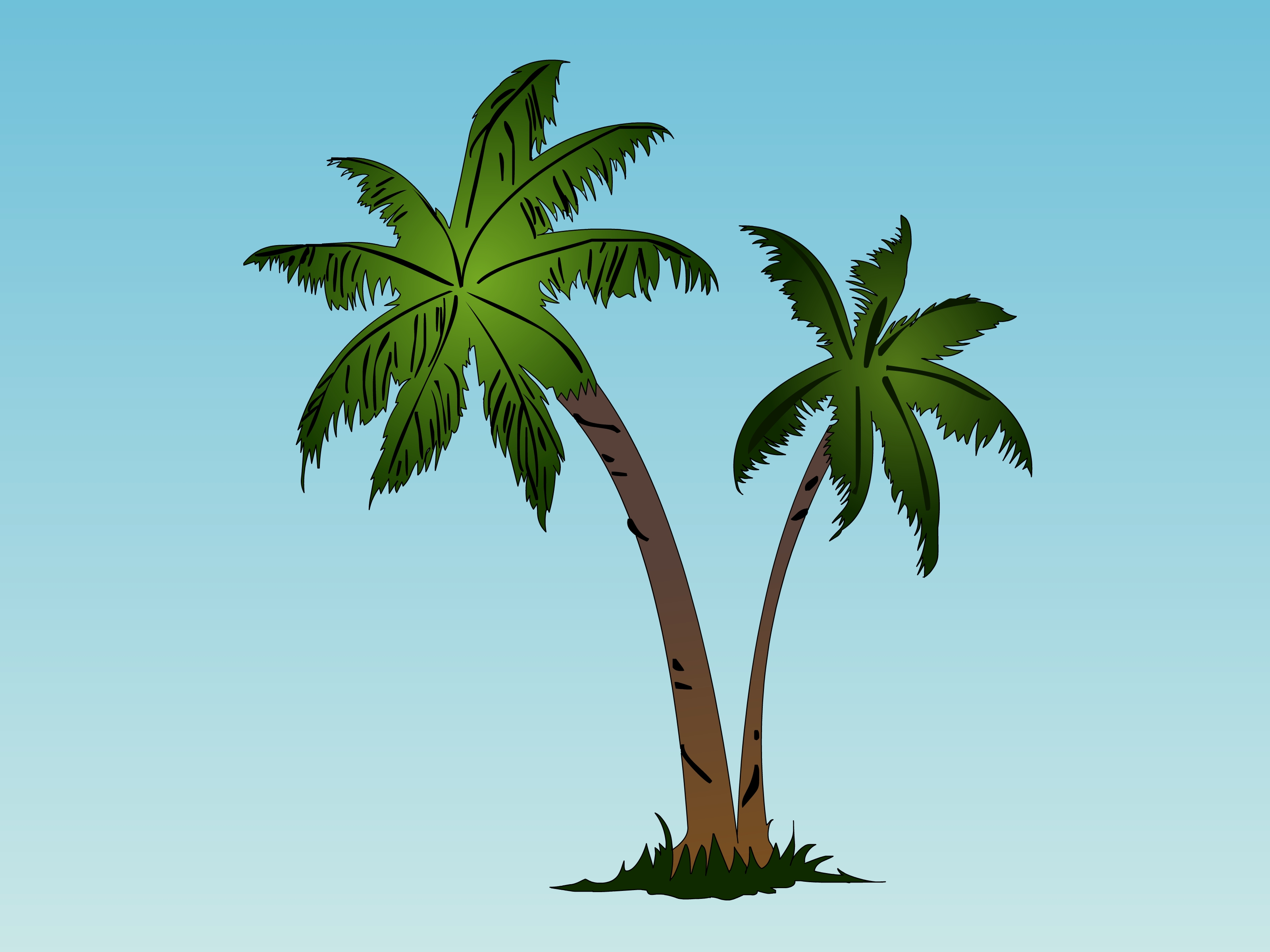 3200x2400 Palm Tree Drawing - Palmetto Tree Drawing