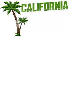 250x300 Palm Tree Drawings - Palmetto Tree Drawing