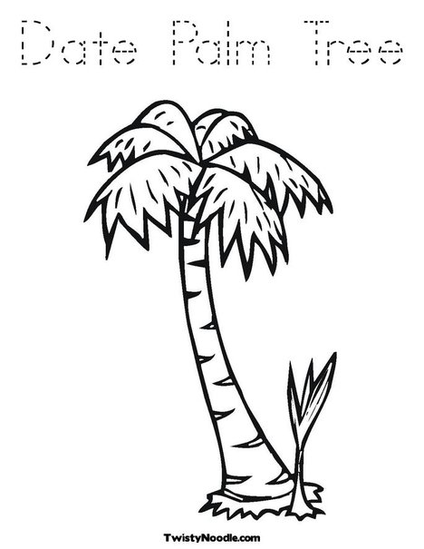468x605 Palmetto Tree Drawing - Palmetto Tree Drawing