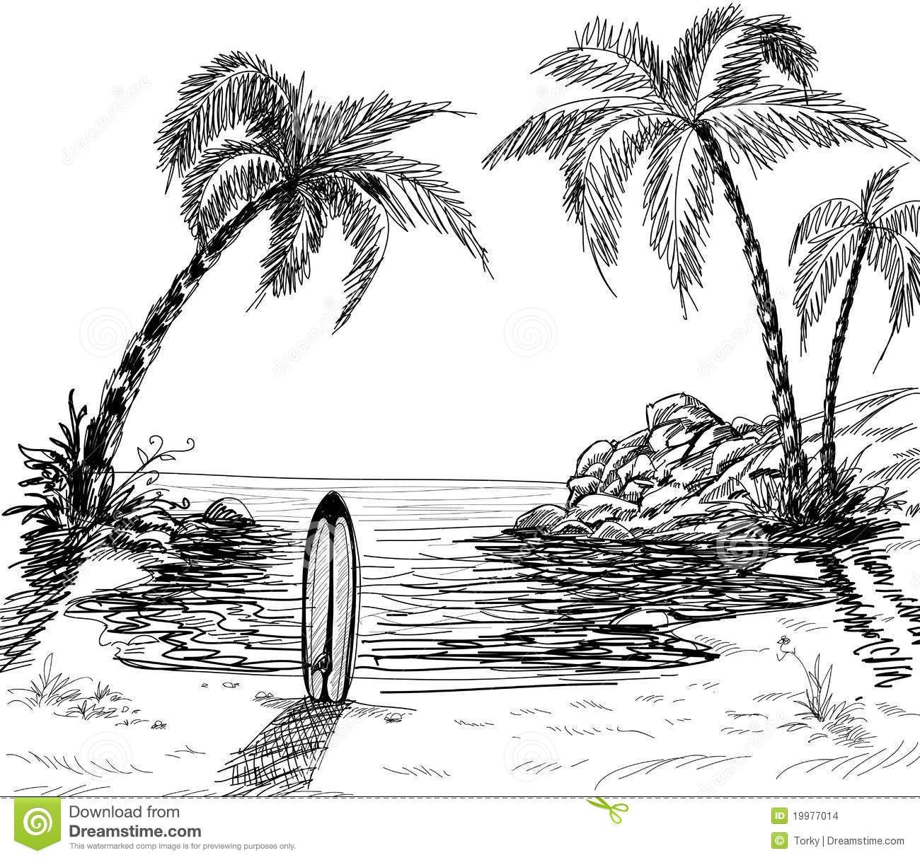 1300x1216 Sketch Of The Palm Tree Vector Palm Tree Sketches - Palmetto Tree Drawing
