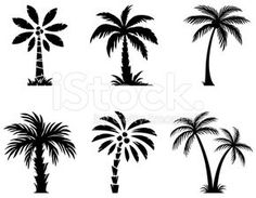 236x183 Great Sketch Of Palm Trees Beach Illustrations And Photography - Palmetto Tree Drawing