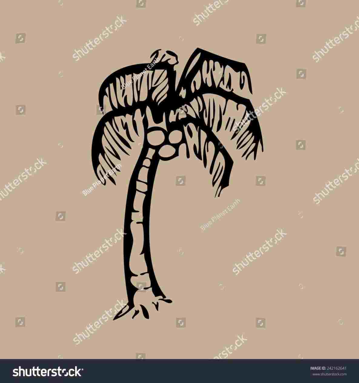 1185x1264 Tree Stepsrhinstructablescom How Palmetto Tree Drawing To Draw - Palmetto Tree Drawing