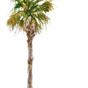300x300 How To Draw Palm Trees New Line Drawing A Palm Tree At Getdrawings - Palmetto Tree Drawing