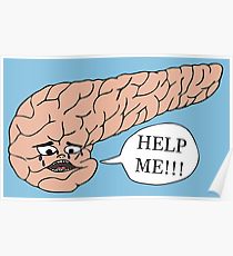 210x230 pancreas drawing posters redbubble - Pancreas Drawing
