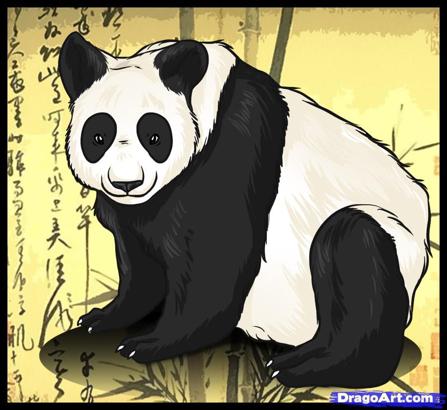900x825 How To Draw A Panda, Step - Panda Bear Drawing