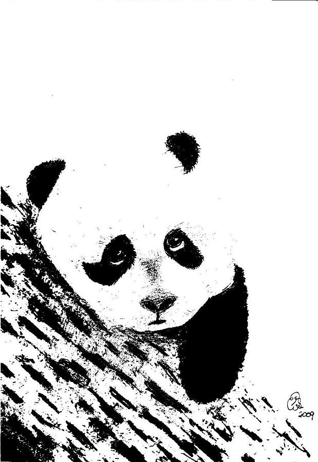 619x900 Panda Bear Bw Drawing - Panda Bear Drawing