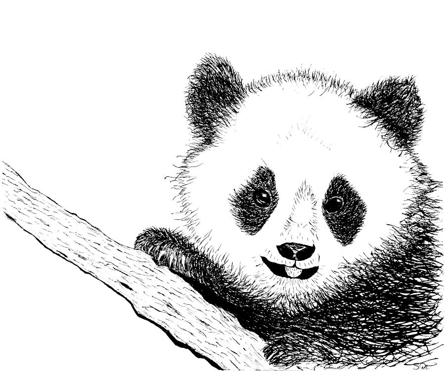 Panda Bear Drawing at PaintingValley.com | Explore collection of Panda ...