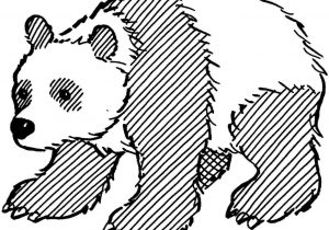 300x210 And White Paperrhcom Pictures To Print - Panda Bear Line Drawing