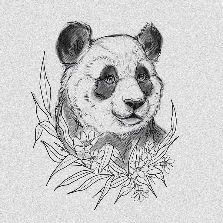 736x736 Panda Drawing Pic Drawing Skill - Panda Drawing