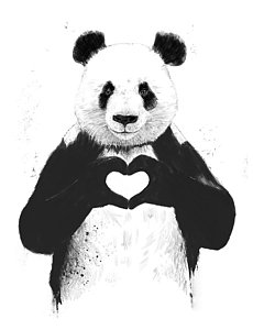 230x300 Panda Drawing Posters Fine Art America - Panda Drawing