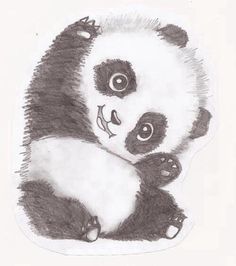 236x266 Panda Drawing Free Download - Panda Drawing