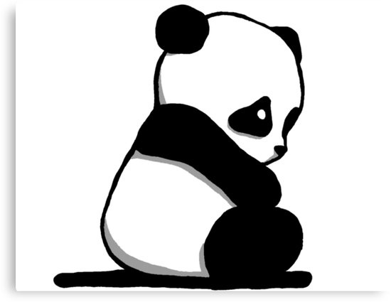 550x425 Sad Panda, Drawing Canvas Print - Panda Drawing